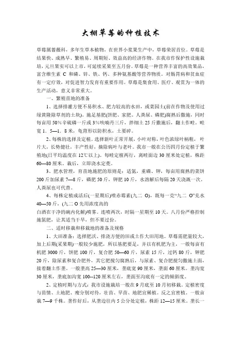 草莓种植