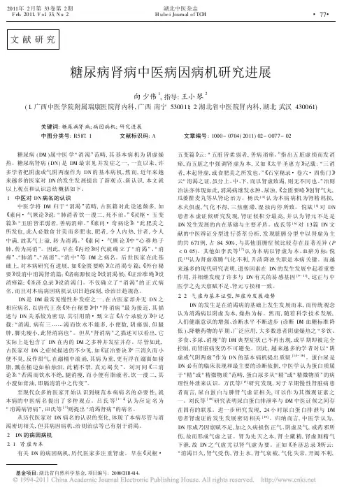 糖尿病肾病中医病因病机研究进展