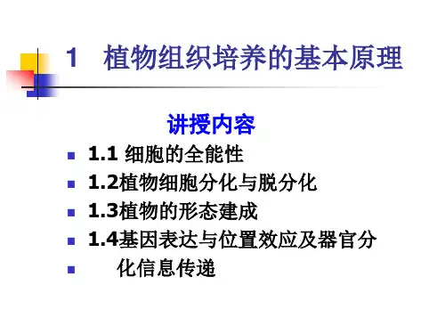 植物组织培养的基本原理