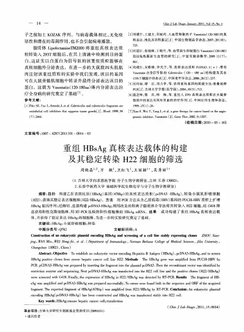 重组HBsAg真核表达载体的构建及其稳定转染H22细胞的筛选