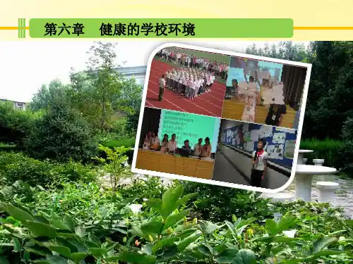 小学生心理健康教育ppt001
