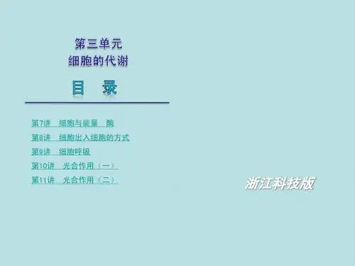 2011年高考生物(浙科版)第一轮复习精品课件：第3单元+细胞的代谢