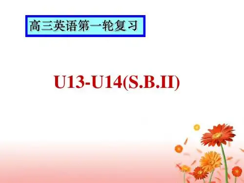 高三英语第一轮复习课件13-14 人教版