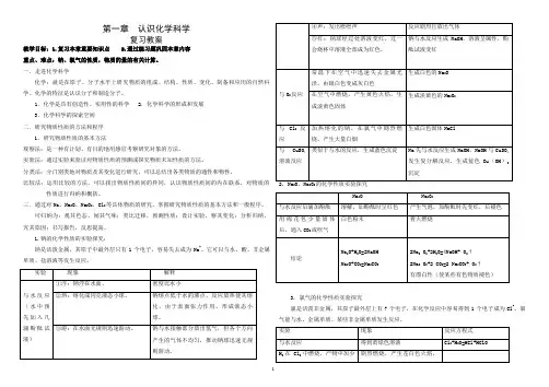鲁科版必修一第一章_认识化学科学复习教案