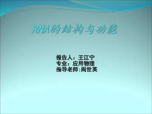 RNA的结构与功能