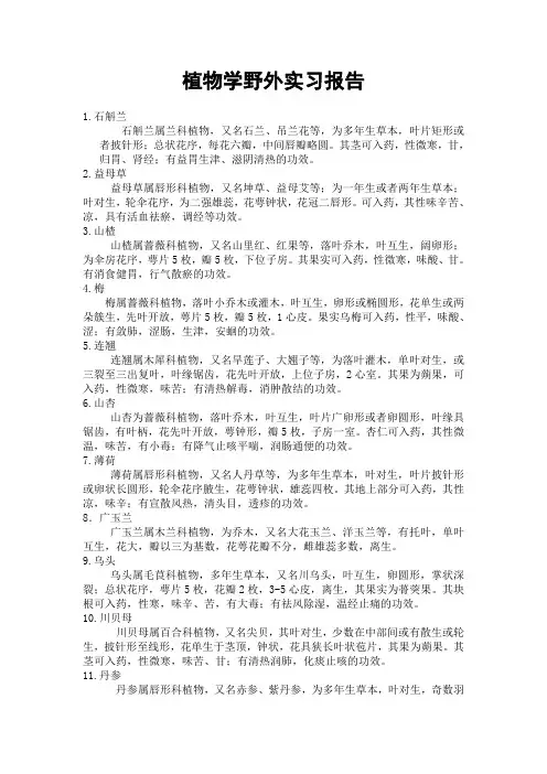 植物学校园实习报告