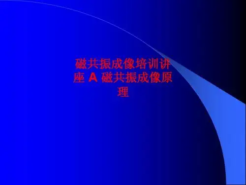 [课件]磁共振成像培训讲座 A 磁共振成像原理PPT