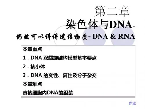 第2章 染色体与DNA