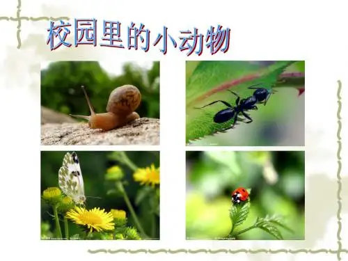 3.校园里的小动物