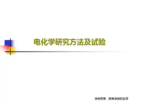 电化学研究方法及试验共31页文档