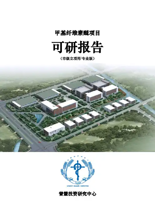 甲基纤维素醚项目可研报告市级立项用(专业版)