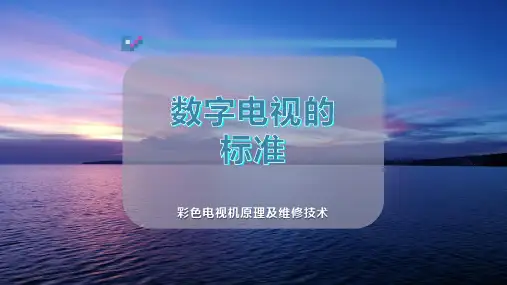 数字电视的标准
