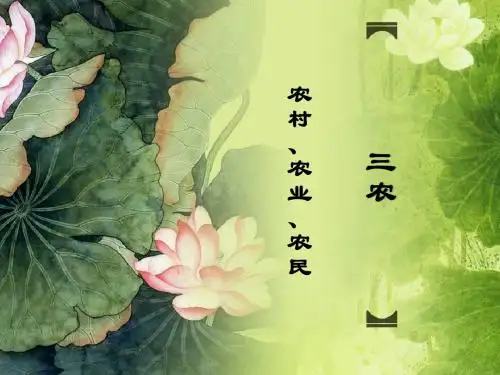 三农问题——农村、农民、农业