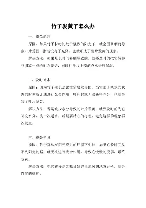 竹子发黄了怎么办