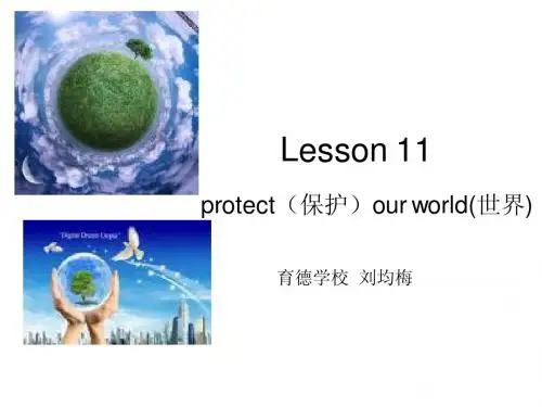 人教新版英语六年级下册Lesson 11课件