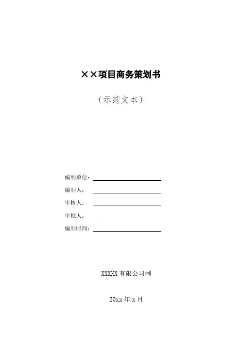 项目商务策划范本