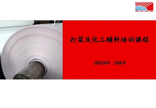 打浆及化工辅料培训课程PPT
