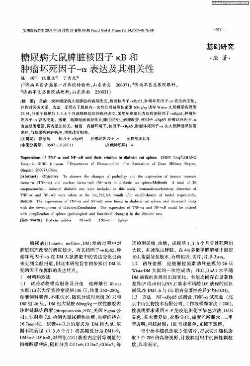 糖尿病大鼠脾脏核因子κB和肿瘤坏死因子-α表达及其相关性