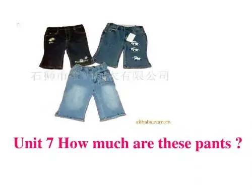 (2019版)七年级英语How-much-are-these-pants课件2