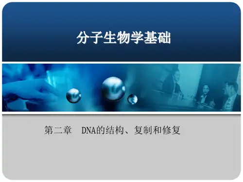 分子生物学基础PPT第二章