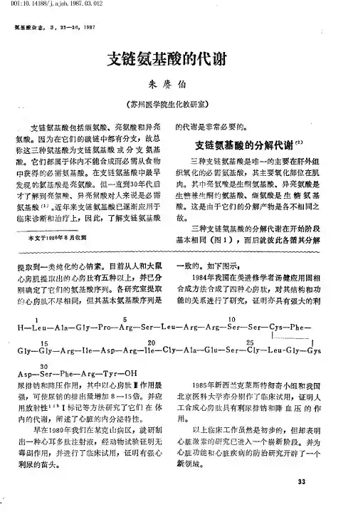 支链氨基酸的代谢