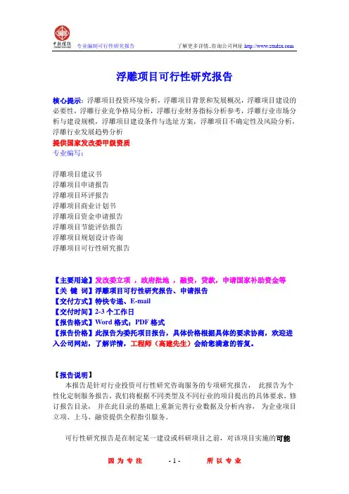 浮雕项目可行性研究报告