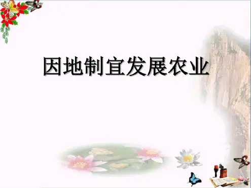 因地制宜发展农业PPT