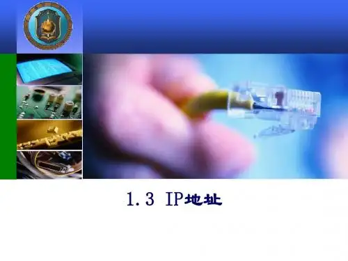 1.3 IP地址