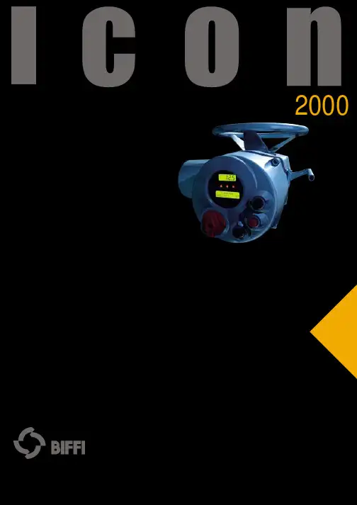 BIFFI执行机构说明icon2000_CHI