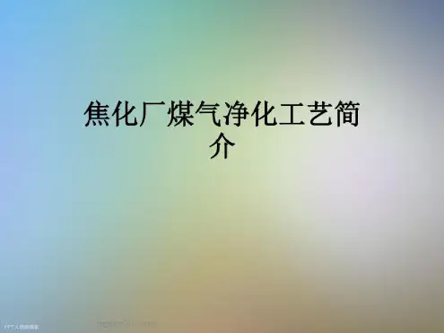 焦化厂煤气净化工艺简介-完整版