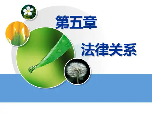第五章 法律关系