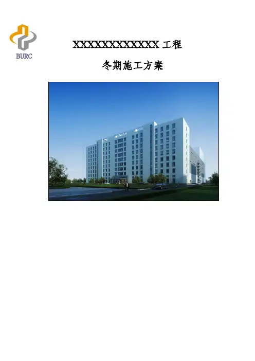 冬期施工方案(版)