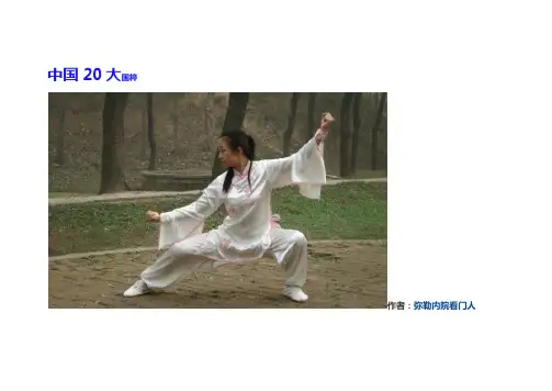 中国20大国粹