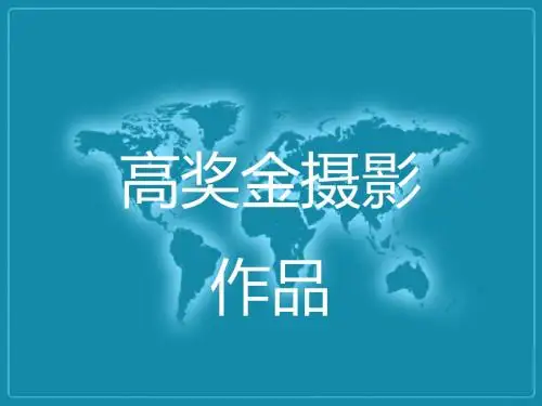 获奖照片