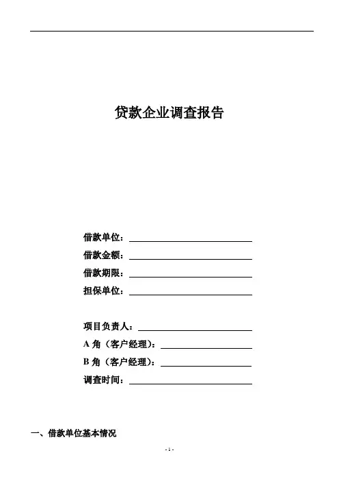 小额贷款公司企业调查报告