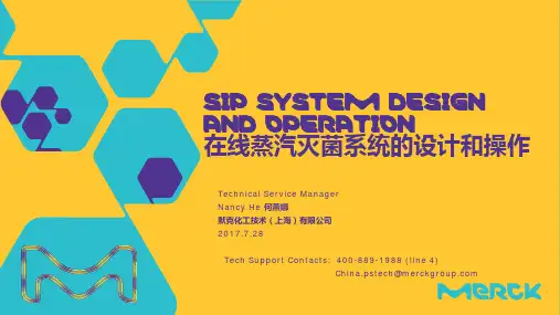 SIP系统设计和操作