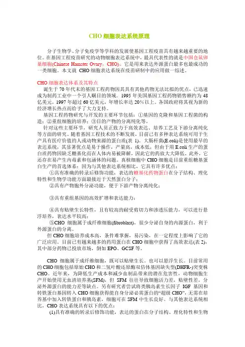 CHO细胞表达系统