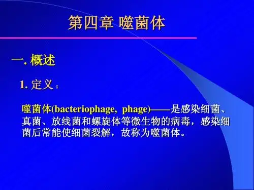 第4、5章噬菌体、遗传变异