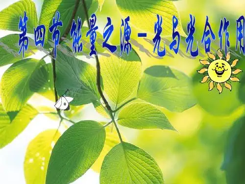 高一生物：必修1：5.4能量之源──光与光合作用(新)