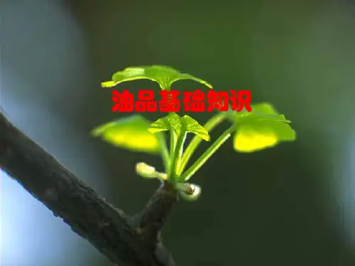 油品基础知识 PPT课件