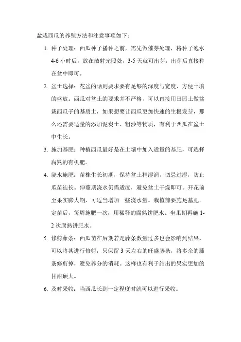 盆栽西瓜的养殖方法和注意事项