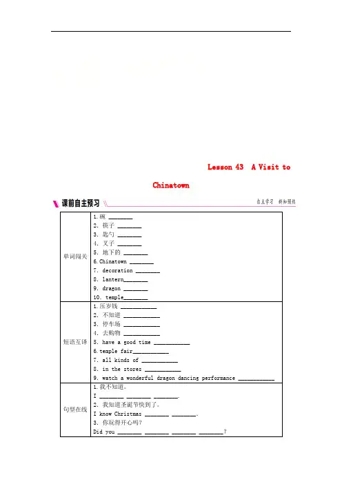 九年级英语下册Unit8CultureShapesUsLesson43AVisittoChinatown练习(新版)冀教版