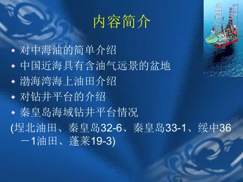 秦皇岛海域钻井平台