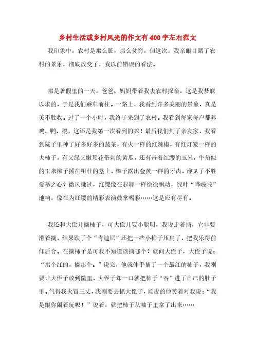 乡村生活或乡村风光的作文有400字左右范文