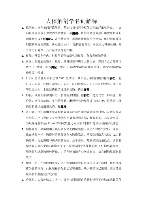 人体解剖学名词解释 2