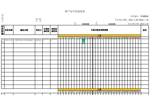 项目开发计划进度表