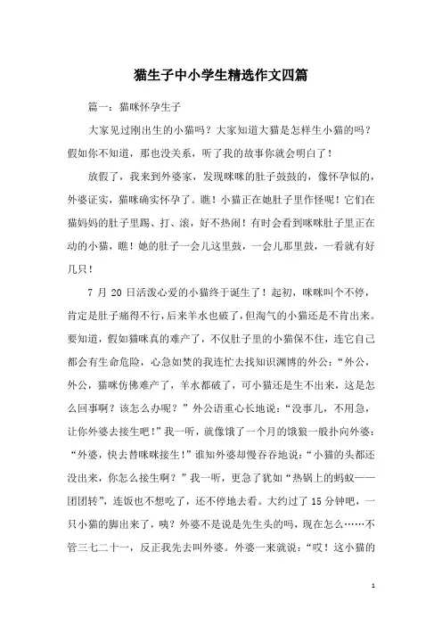 猫生子中小学生精选作文四篇