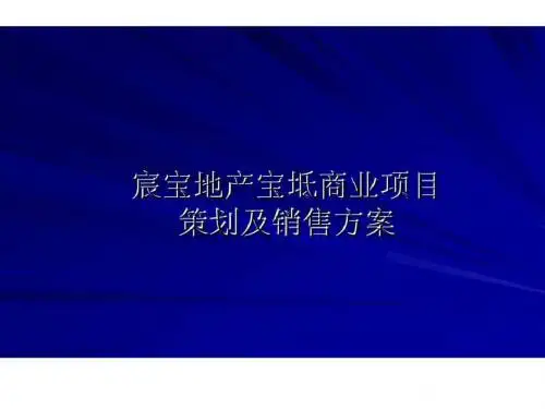 2019年整理2009年宸宝地产宝坻商业项目策划及销售方案资料