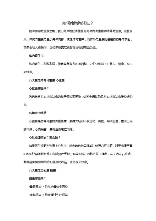 如何给狗狗驱虫