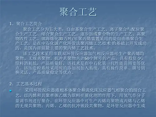 聚合工艺简化版